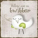 Follow Twitter Passport